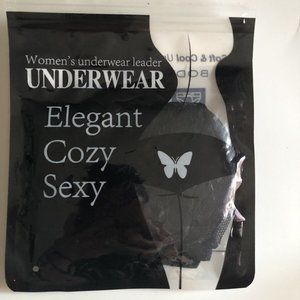Woman’s Sz S Briefs Panties Underwear Blk Lingerie Sexy Silky Satin Lace *EMP